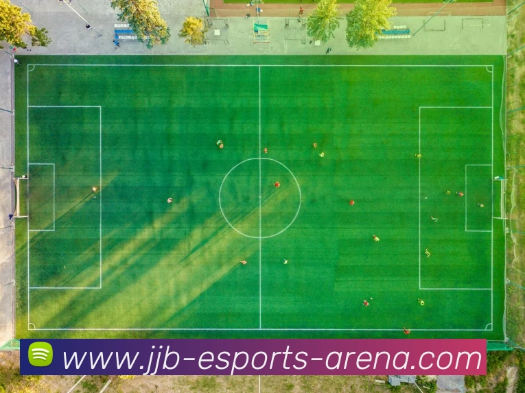 多媒体互动体验